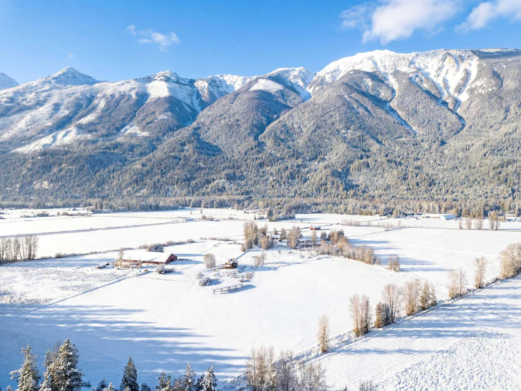 9115 Pemberton Meadows Road, Pemberton, BC, V0N 2L2 - 5
