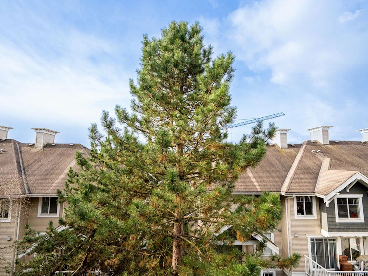 412-20750 Duncan Way, Langley, BC, V3A 9J6 - 18