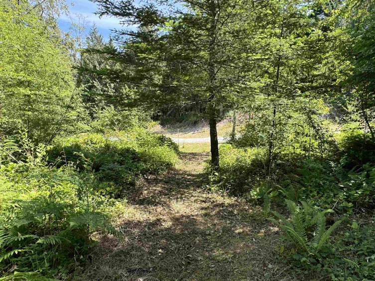 6016 Leaning Tree Road, Halfmoon Bay, BC, V7Z 1C2 - 33