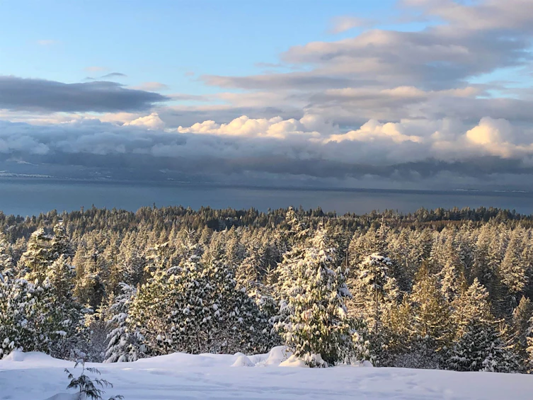 6016 Leaning Tree Road, Halfmoon Bay, BC, V7Z 1C2 - 35