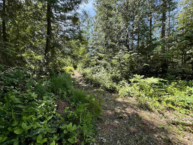 6016 Leaning Tree Road, Halfmoon Bay, BC, V7Z 1C2 - 32