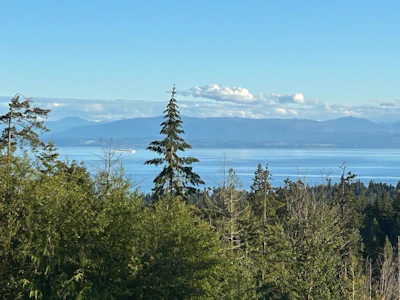 6016 Leaning Tree Road - 2
