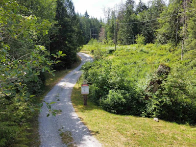 6016 Leaning Tree Road - 4