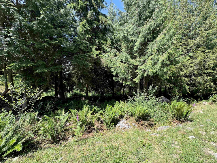 6016 Leaning Tree Road, Halfmoon Bay, BC, V7Z 1C2 - 24