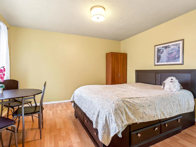 3005 Alderbrook Place, Coquitlam, BC, V3C 4B5 - 21