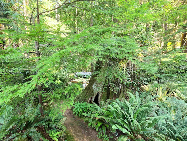 793 Andy's Bay Road, Gambier Island, BC, V0N 1V0 - 28