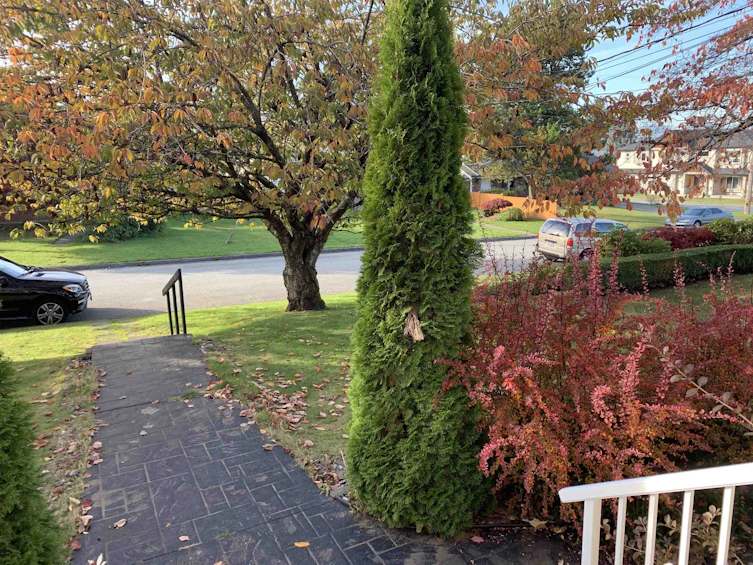 6710 St Charles Place, Burnaby, BC, V5H 3V9 - 31