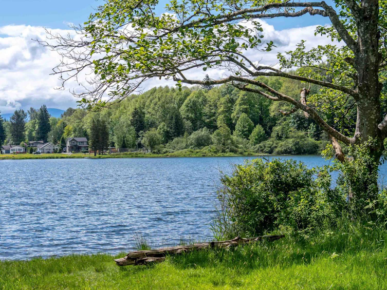 12525 Low Road, Mission, BC, V0M 1N0 - 33