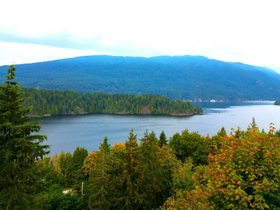 3642 Bedwell Bay Road - 2