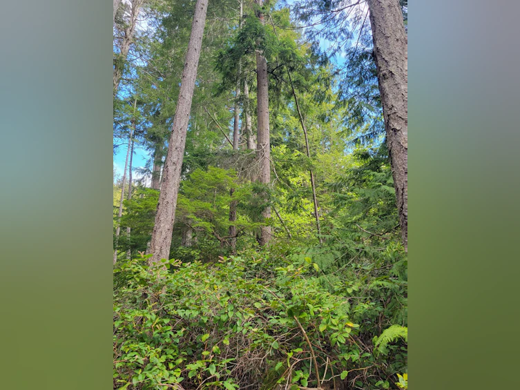 Lot 3 Sinclair Bay Road, Pender Harbour Egmont, BC, V0N 1S1 - 20