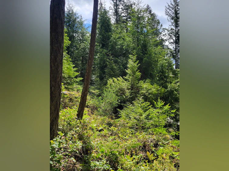 Lot 3 Sinclair Bay Road, Pender Harbour Egmont, BC, V0N 1S1 - 21