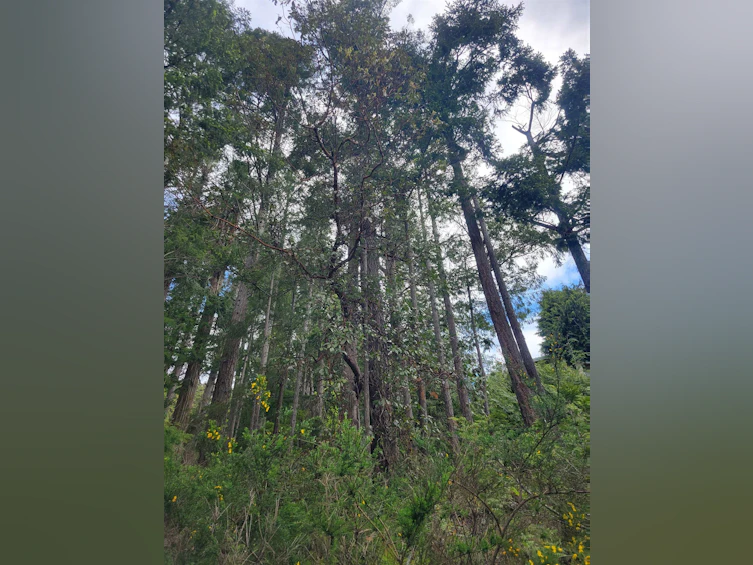 Lot 3 Sinclair Bay Road, Pender Harbour Egmont, BC, V0N 1S1 - 28