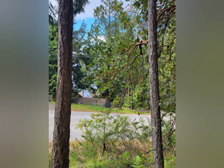 Lot 3 Sinclair Bay Road, Pender Harbour Egmont, BC, V0N 1S1 - 17