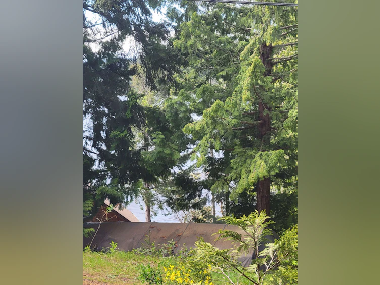 Lot 3 Sinclair Bay Road, Pender Harbour Egmont, BC, V0N 1S1 - 16