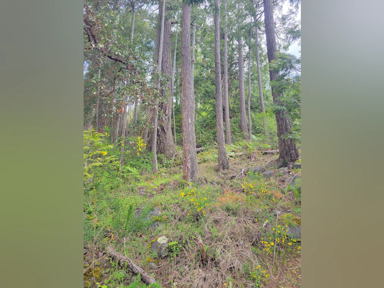 Lot 3 Sinclair Bay Road, Pender Harbour Egmont, BC, V0N 1S1 - 27