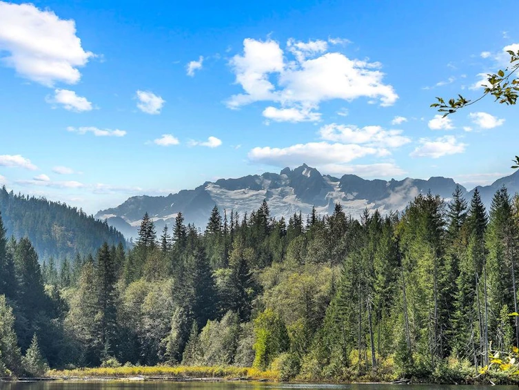 2045 N Rustad Road, Squamish, BC, V0N 3G0 - 13
