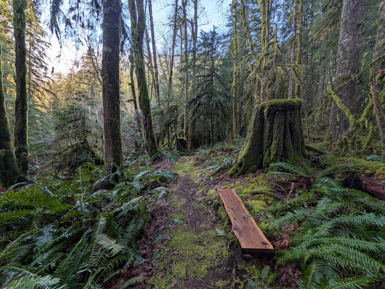 2045 N Rustad Road, Squamish, BC, V0N 3G0 - 4