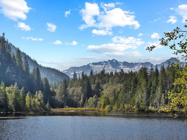 2045 N Rustad Road, Squamish, BC, V0N 3G0 - 12