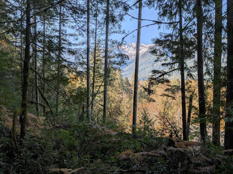 2045 N Rustad Road, Squamish, BC, V0N 3G0 - 20