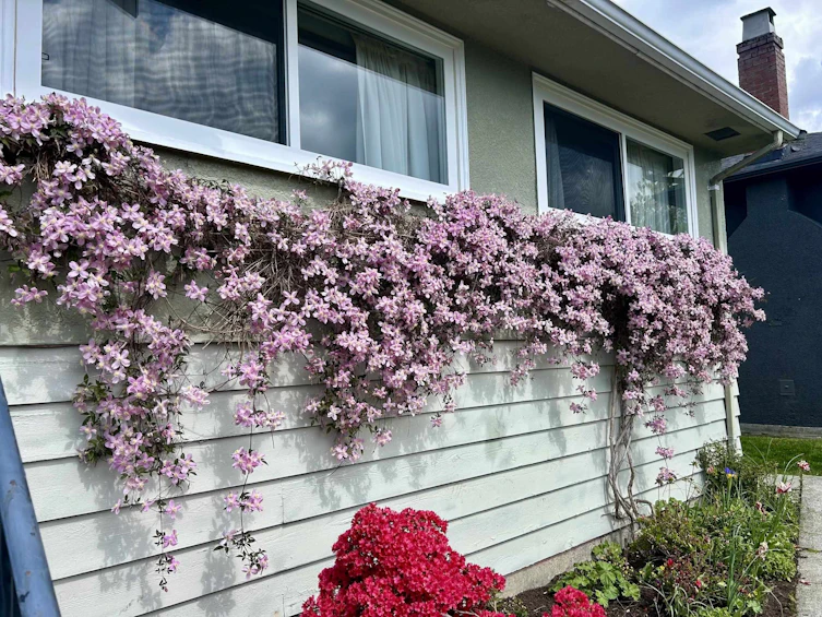 462 W 26th Street, North Vancouver, BC, V7N 2G8 - 5