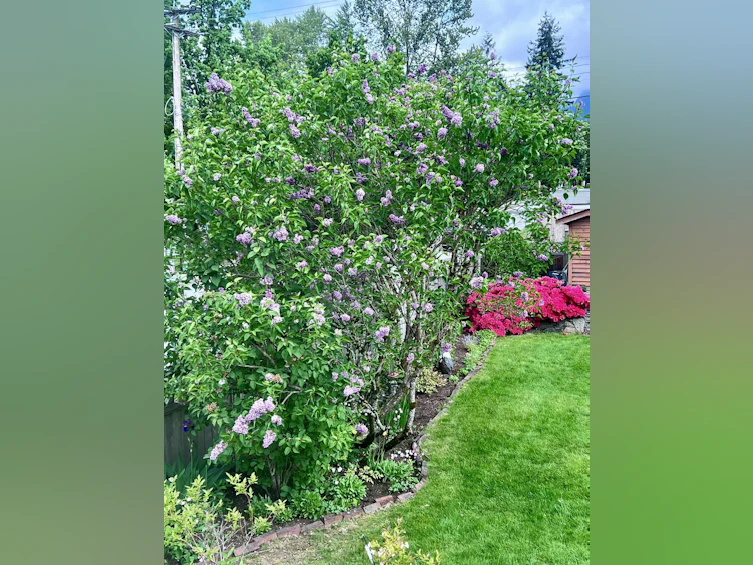 462 W 26th Street, North Vancouver, BC, V7N 2G8 - 37
