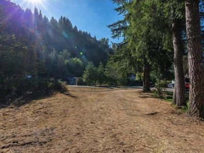 45981 Linzey Road - 3