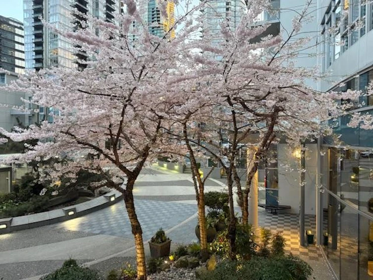 TH20-1281 W Cordova Street, Vancouver, BC, V6C 3R5 - 35