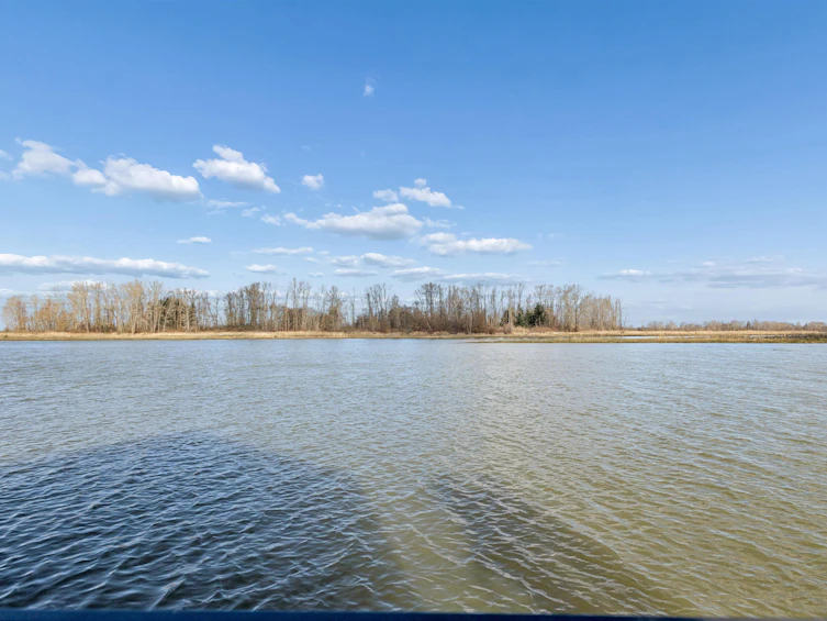 4345 W River Road, Delta, BC, V4K 1R9 - 34