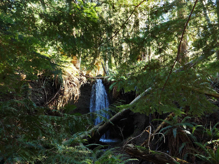 1470 Tunstall Boulevard, Bowen Island, BC, V0N 1G2 - 26