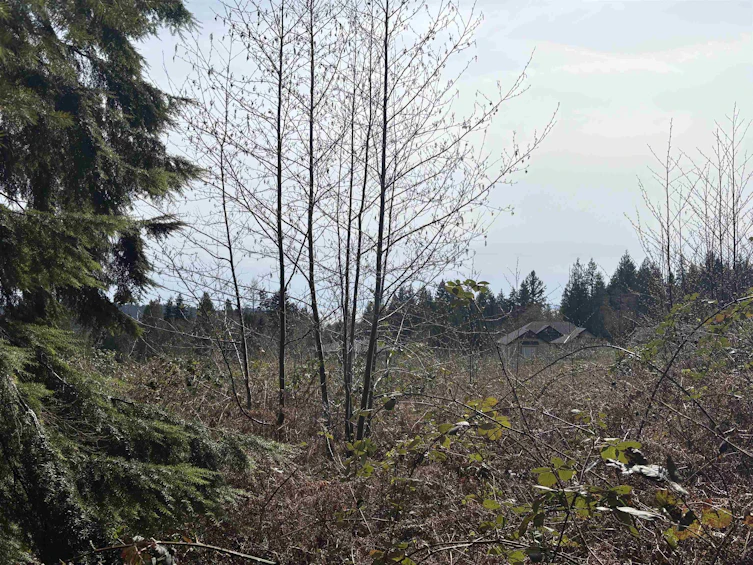 LOT D Woodland Avenue, Gibsons, BC, V0N 1V6 - 10