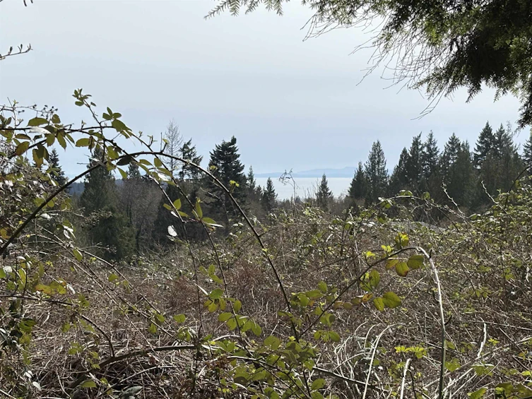 LOT D Woodland Avenue, Gibsons, BC, V0N 1V6 - 11