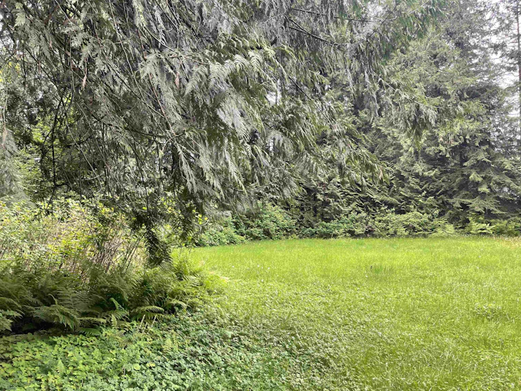 31828 Grove Avenue, Mission, BC, V4S 1E7 - 22