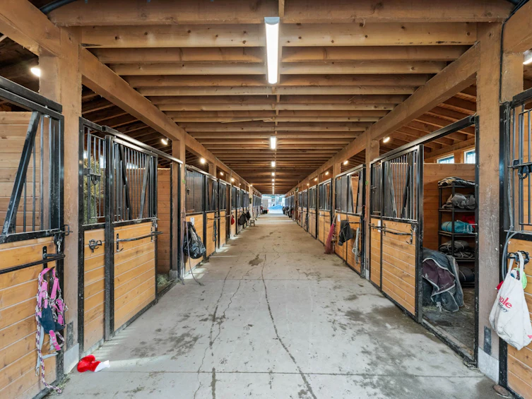 1061 216 Street, Langley, BC, V2Z 1R3 - 36