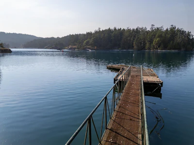 8807 Ainslie Point Road - 5