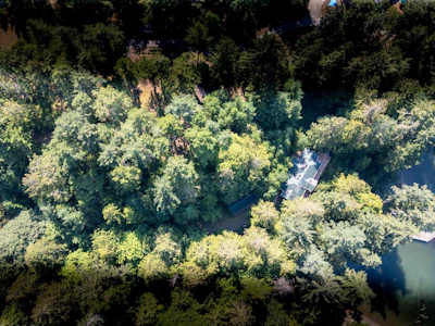 8807 Ainslie Point Road - 3