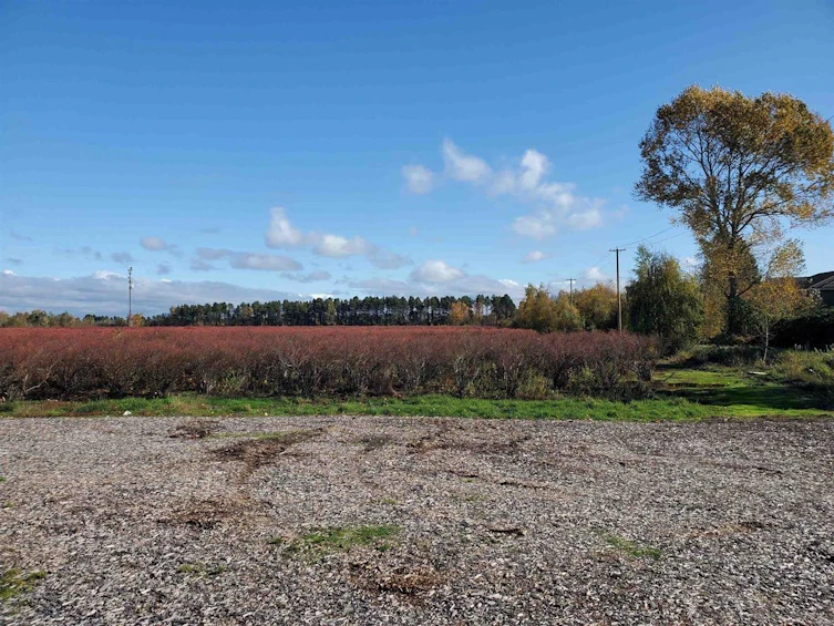 10133 Francis Road, Richmond, BC, V6Y 4H8 - 7