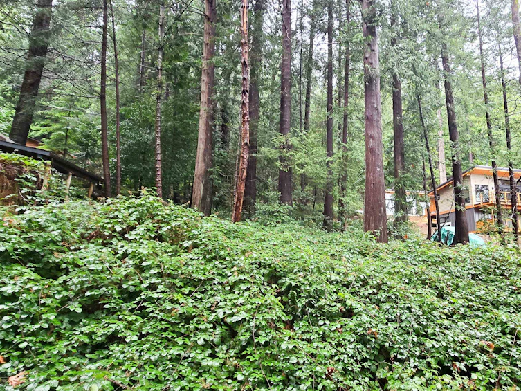 Lot 5 Gavin Road, Keats Island, BC, V0N 1V0 - 12
