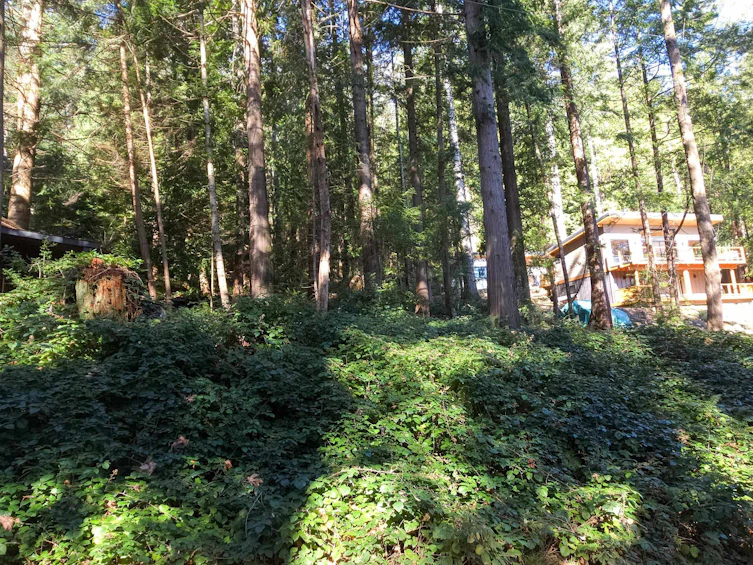 Lot 5 Gavin Road, Keats Island, BC, V0N 1V0 - 9