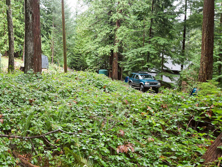 Lot 5 Gavin Road, Keats Island, BC, V0N 1V0 - 11