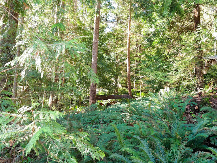 Lot 5 Gavin Road, Keats Island, BC, V0N 1V0 - 6