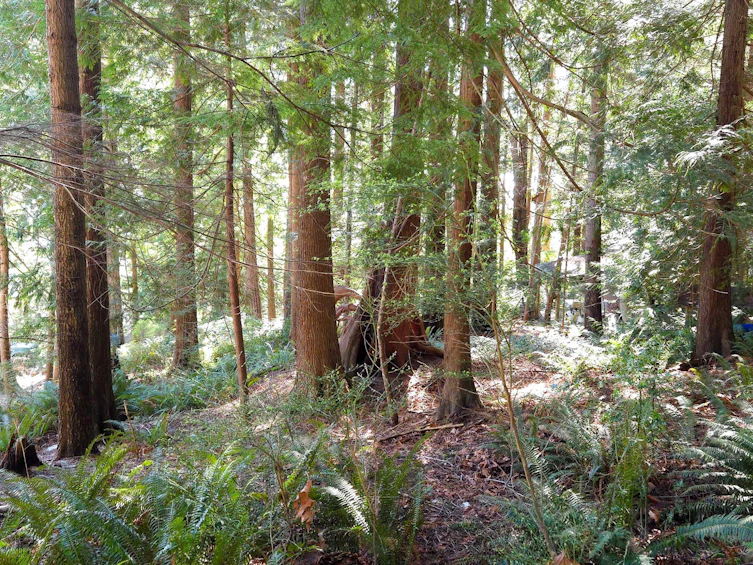 Lot 5 Gavin Road, Keats Island, BC, V0N 1V0 - 2