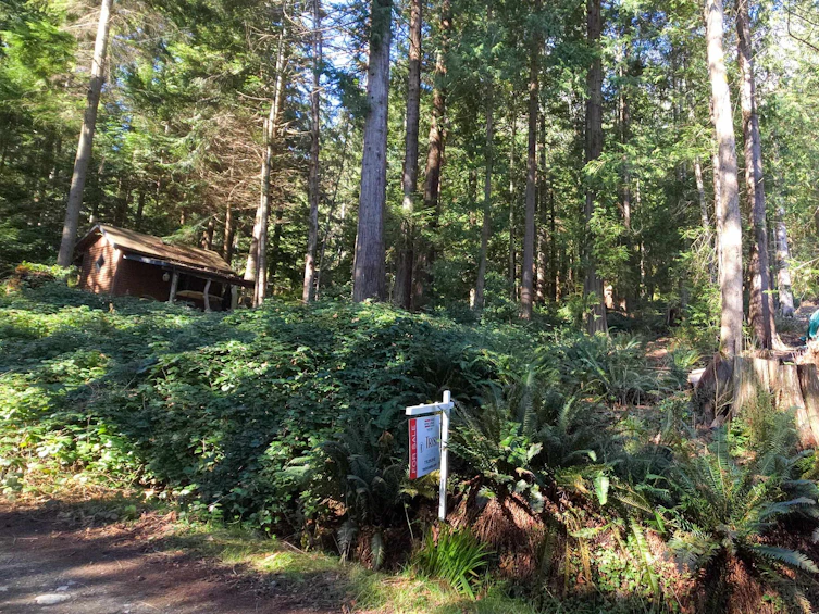 Lot 5 Gavin Road, Keats Island, BC, V0N 1V0 - 14