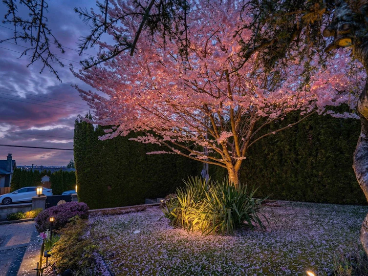 1068 Holdom Avenue, Burnaby, BC, V5B 3V6 - 8