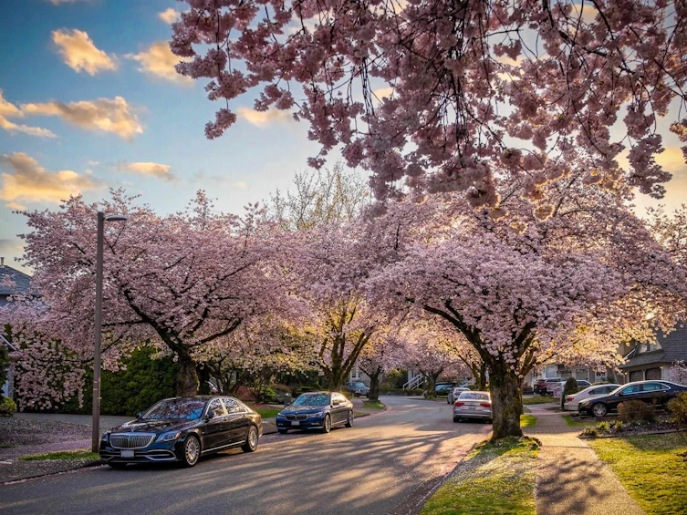 9072 Briar Road, Burnaby, BC, V3N 4W8 - 33