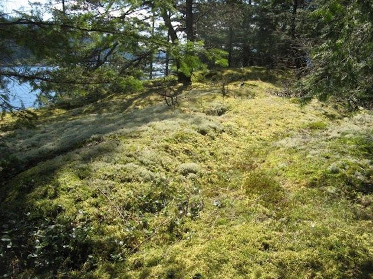 Lot 26 West Bay Landing, Gambier Island, BC, V0N 1V0 - 16