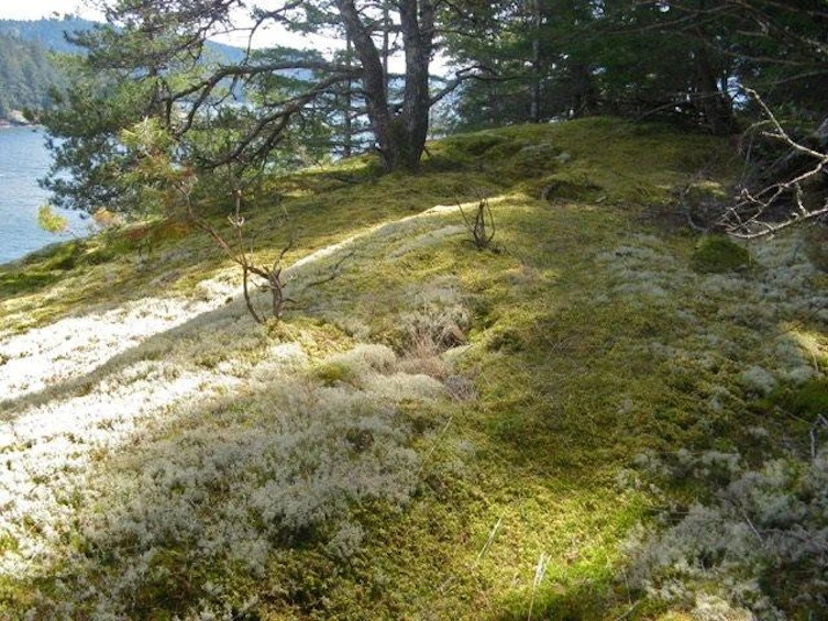 Lot 26 West Bay Landing, Gambier Island, BC, V0N 1V0 - 18