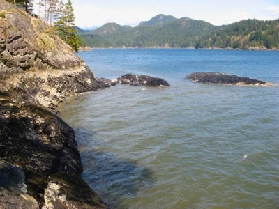 Lot 26 West Bay Landing - 5