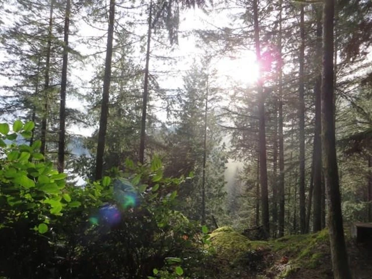 Lot 26 West Bay Landing, Gambier Island, BC, V0N 1V0 - 12