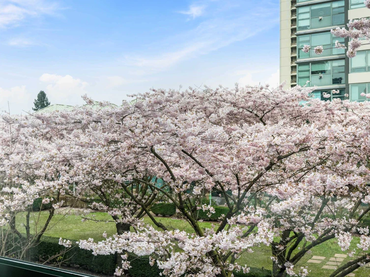 TH4-1889 Rosser Avenue, Burnaby, BC, V5C 6R4 - 26