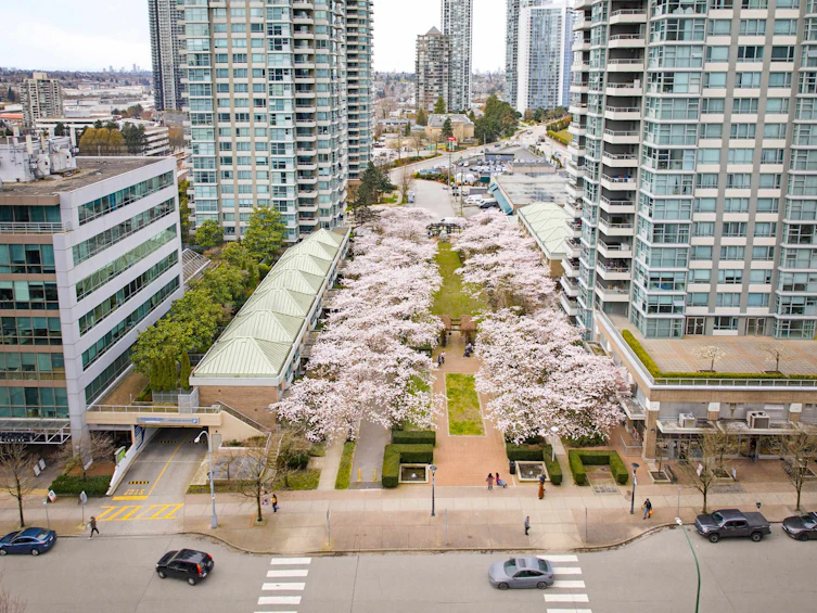 TH4-1889 Rosser Avenue, Burnaby, BC, V5C 6R4 - 3